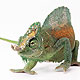Fig:4 Digital Chameleonの画像です。