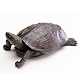 Fig:9 Digital Turtleの画像です。